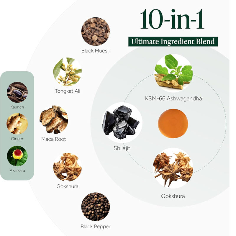 Alpha Gummies - 120 Gummies