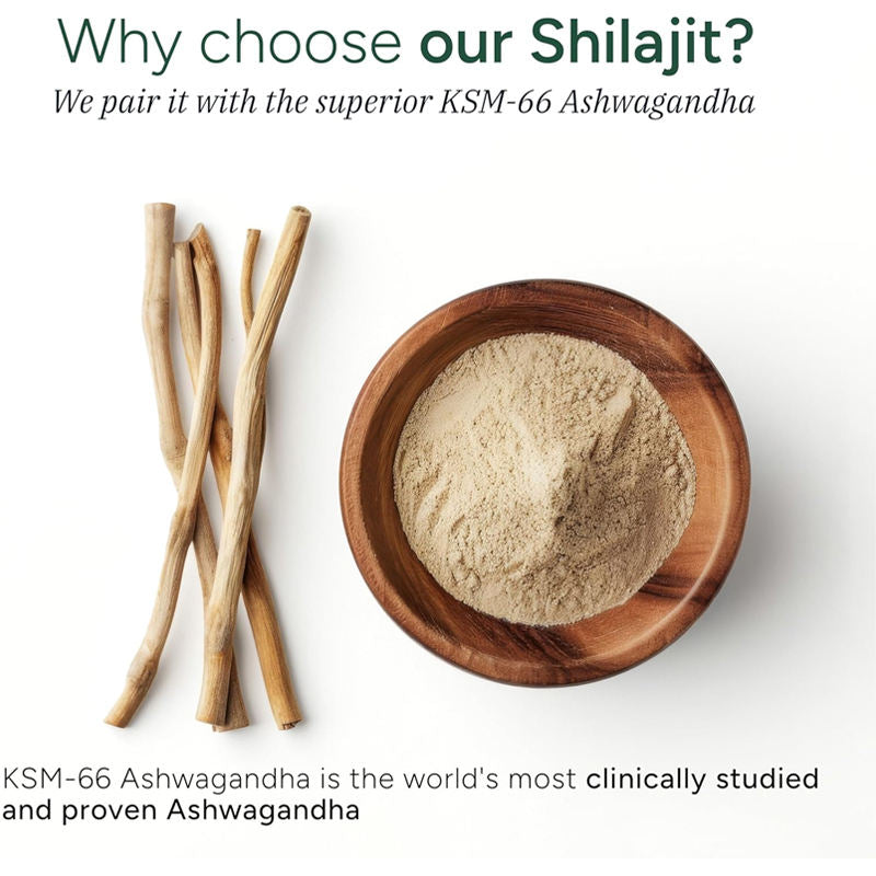 Alpha Gummies - 120 Gummies