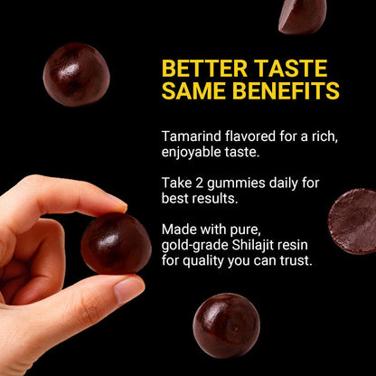 Himalayan Shilajit Gold Gummies