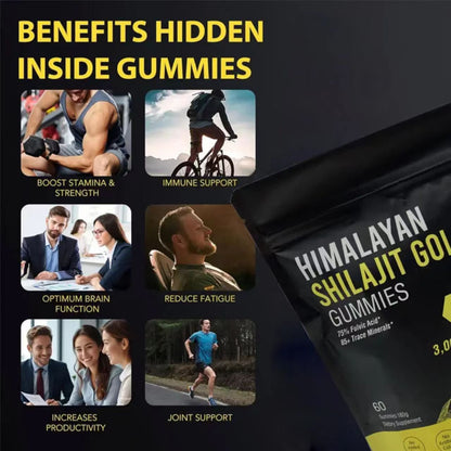 Himalayan Shilajit Gold Gummies