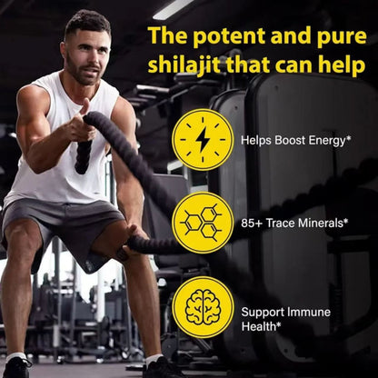 Himalayan Shilajit Gold Gummies